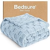 Bedsure GentleSoft Twin Blanket for Bed Light Blue - Super Soft Cozy Blankets for Women Men Girls, Cute Fuzzy Fleece Throws for Bedroom Couch, 60x80 Inches