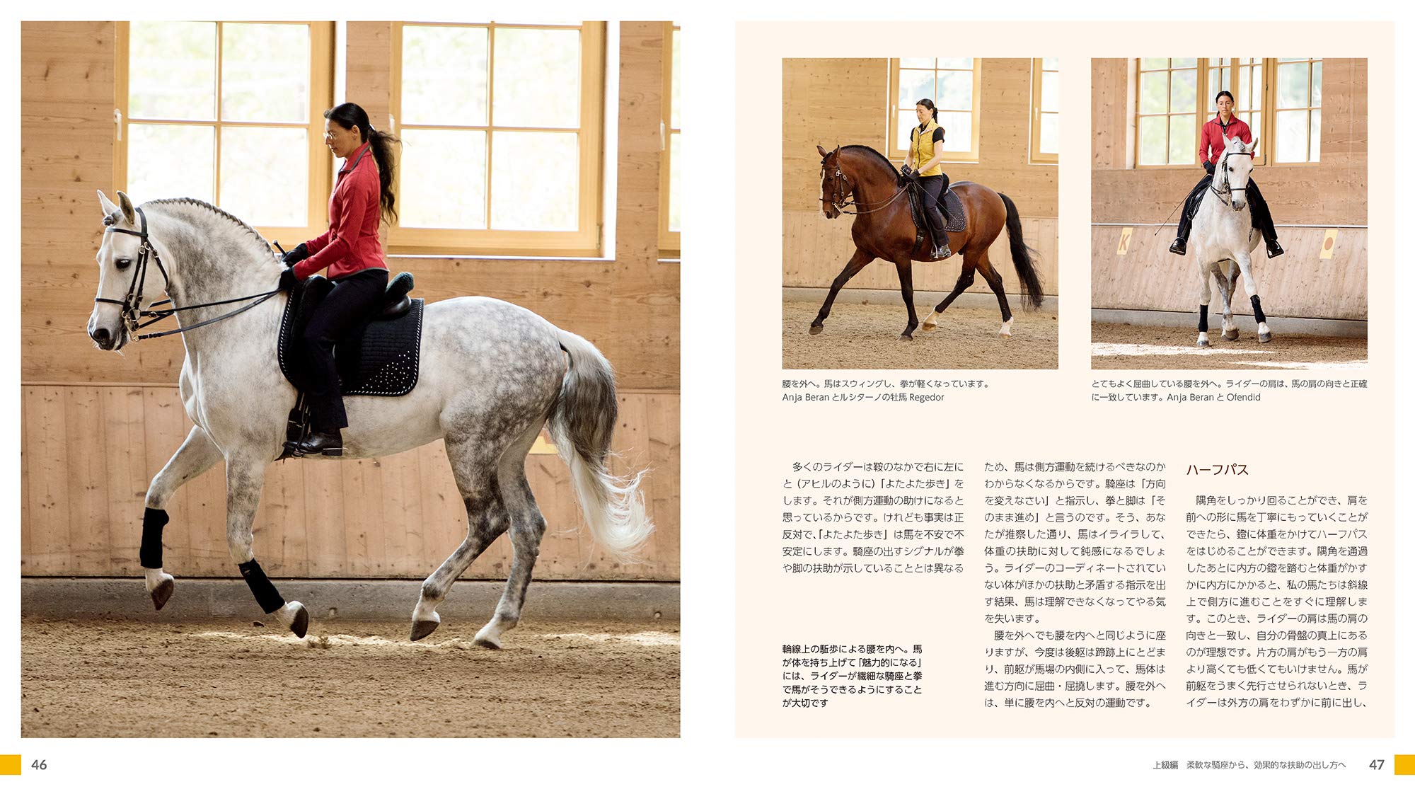 馬場馬術の美しい騎座 騎乗時の姿勢 呼吸とエクササイズ Anja Beran 伴 美恵子 伴 孝徳 樫木 宏之 宮田 朋典 伴 美恵子 伴 孝徳 樫木 宏之 宮田 朋典 二宮 千寿子 本 通販 Amazon