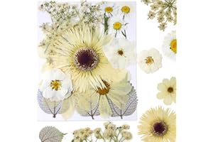 HOPELJ Dried Pressed Flowers, Real Natural Pressed Flowers Kit for Resin Mold, Scrapbooking DIY Art Crafts, Epoxy Resin Jewelry Molds, Candle, Soap Making, Nails Décor