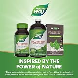 Nature's Way Chlorofresh Liquid Chlorophyll Internal Deodorant 16 fl oz view 6