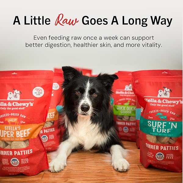 STELLA & CHEWY’S FREEZE-DRIED RAW DINNER PATTIES – DANDY LAMB RECIPE – HIGH PROTEIN GRAIN-FREE PUPPY & DOG FOOD – PERFECT FOR PICKY EATERS – 25 OZ