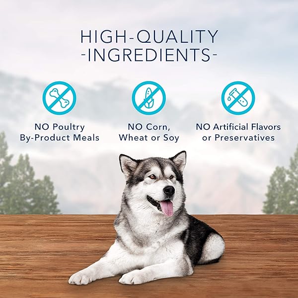 BLUE BUFFALO WILDERNESS TRAIL WILD BITES HIGH PROTEIN GRAIN FREE SOFT MOIST SALMON DOG TREATS
