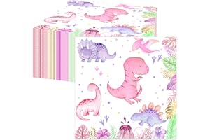 VETWO Watercolor Dinosaur Girls Birthday Party Paper Napkins 60 Pcs Pink and Purple Dino Disposable Paper Napkins for Dinosaur Theme Baby Shower Girls 1st 2nd 3rd 4th Birthday Party Decorations Supplies