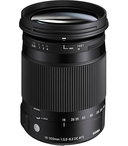 Amazon.com : Nikon 18-300 mm/F 3,5-6,3 AF-S DX G ED VR 18 mm