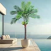 Erimda 30-Year Factory Faux Coconut Tree - 6FT Faux Palm Tree Realistic Thick Trunk & Heavy Duty Leaves, Hand-Carved Bark Texture, Indoor Tropical Decor for Living Room/Store, No Shiny Plastic Look