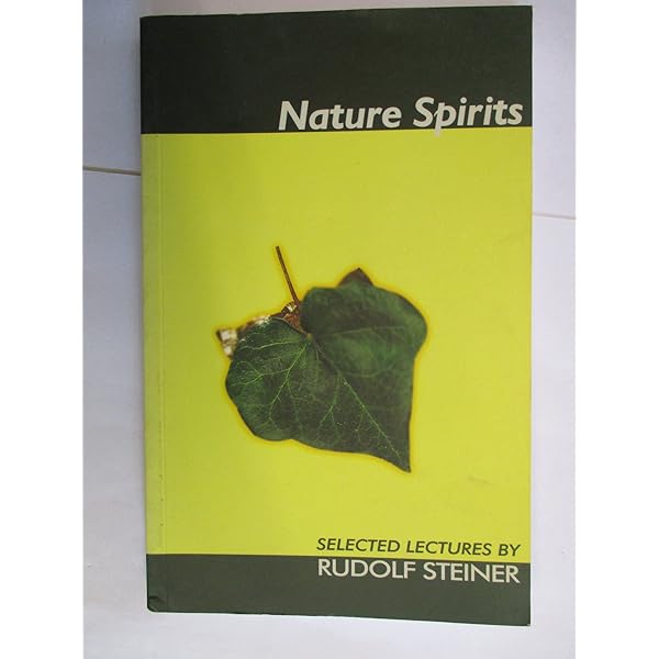 Amazon.com: An Insights Into the Plants - Vol. 2: 9798377500070