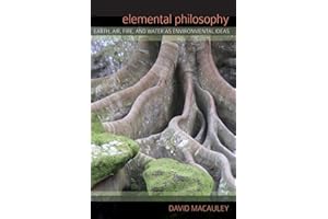 Elemental Philosophy: Earth, Air, Fire, and Water as Environmental Ideas (Environ Philosophy Ethics)