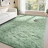 DweIke Fluffy Sage Green Rugs for Bedroom Living
