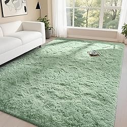 DweIke Fluffy Sage Green Rugs for Bedroom Living