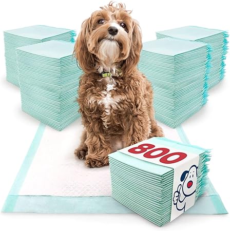 puppy training pads pets at home