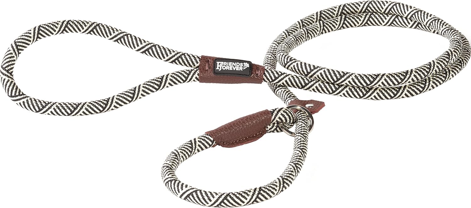 What Is The Best Leash For A Pulling Dog at Barbara Harris blog