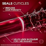 L'Oréal Paris Elvive Colour Protect Conditioner 300ml Colour Shielding view 7