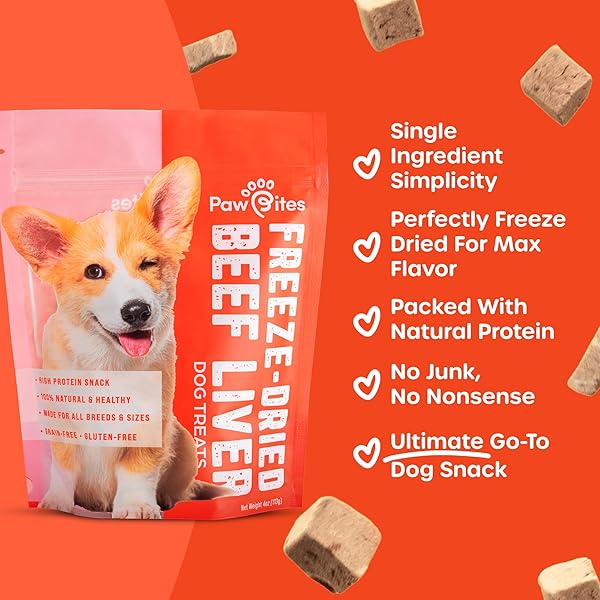 PAW BITES FREEZE DRIED DOG TREATS – BEEF LIVER WITH PROTEIN, DOG FOOD DRY SNACKS – WITH PROTEIN & OMEGA 3S – FOR ALL BREEDS & SIZES – NO ARTIFICIAL FLAVORS & DYES, NO PRESERVATIVES – 1 POUCH, 4 OZ