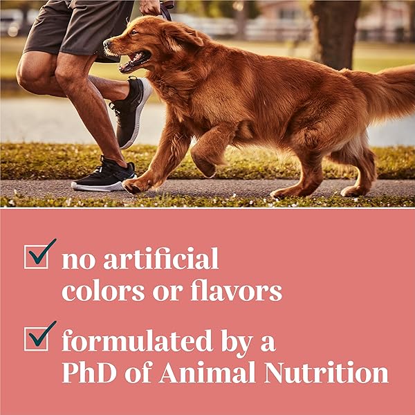 EVERROOT BY PURINA DIGESTION DOG SUPPLEMENTS SOFT CHEWS – 10.6 OZ. CANISTER