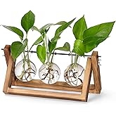 YIBOT Plants Propagation Stations,Desk Plant Terrarium with Retro Wooden Stand,Plant Lover Gifts for Women for Hydroponics Plants Home Garden Wedding Decor(3 Bulb Vase)