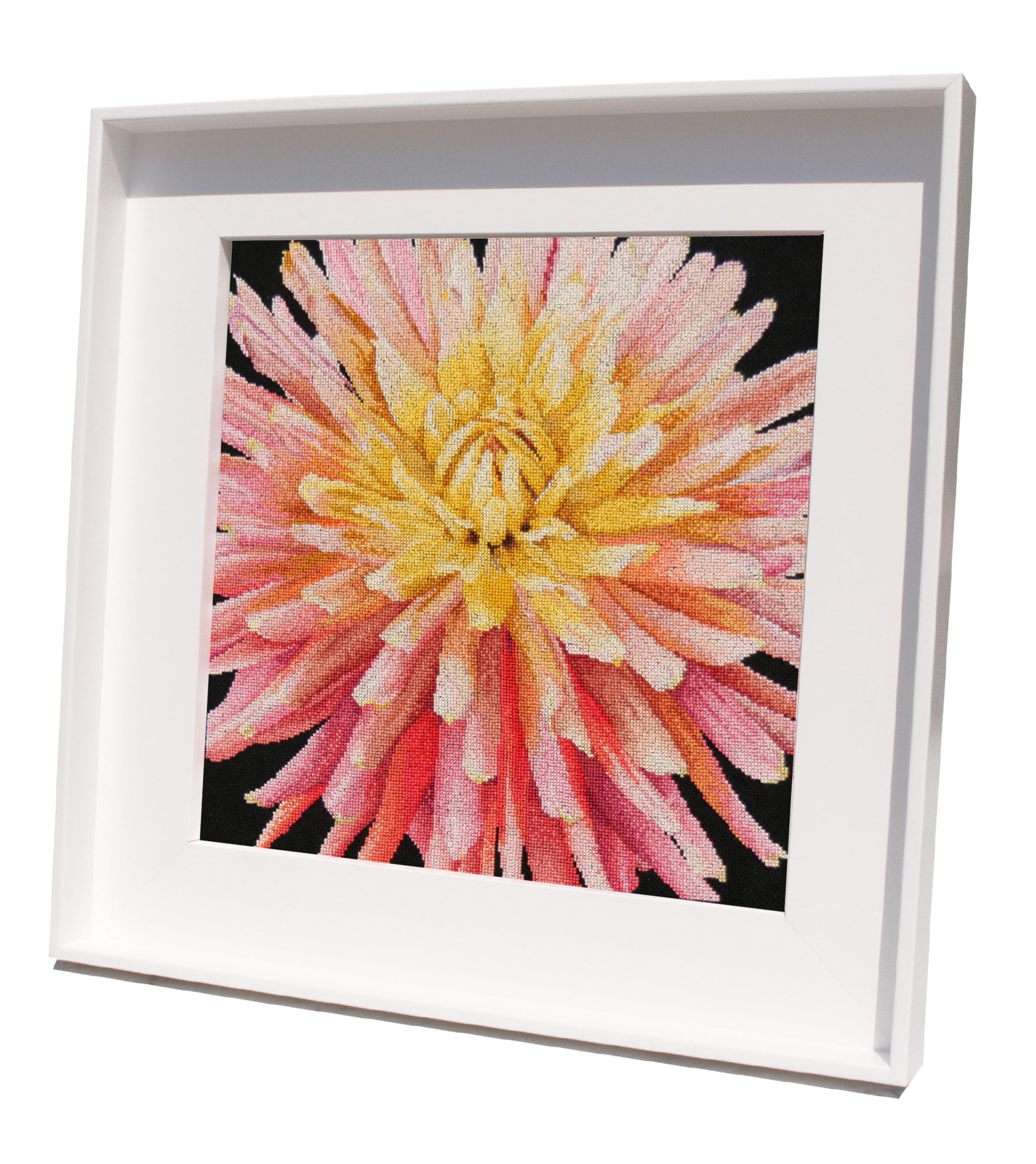 Thea Gouverneur - Counted Cross Stitch Kit - Dahlia - Aida Black - 18 Count - Embroidery Kit for Adults - DMC Embroidery Threads and Other Cross Stitch Supplies Included - 441.05