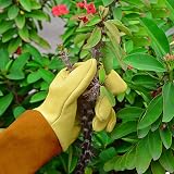 UneedMe Gardening Gloves Long Gauntlet Thornproof for Women Men view 4