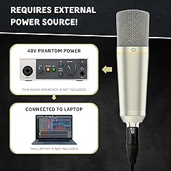 MA-67 Studio Condenser Microphone, 34mm Gold Large