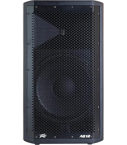 Amazon.com: Peavey PVX 12 Inch Passive Loudspeaker : Musical