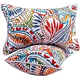 JMGBird Water-Resistant Outdoor Pillows Set of 2, 12x20 inch Durable Colorful Paisley Pattern Throw Pillows with Inserts for Patio Furniture
