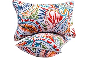 JMGBird Outdoor Lumbar Pillows Set of 2 with Insert - 12x20 Inch Waterproof Outdoor Pillows for Patio Furniture