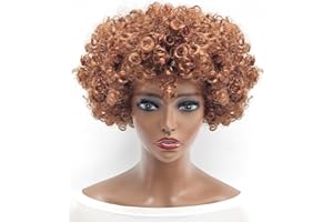 Everfun Fluffy Afro Short Curly Wig for Women Men Cosplay Anime Party Christmas Halloween Fancy Funny Clown Wigs Synthetic Hair (Brown)