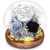 Valentines Day White Flower Gifts for Her - Forever Fresh Roses Bouquet for Delivery, Preserved Flowers in Glass Globe with Light as Anniversary & Birthday Gifts for Women, Mom, Grandma, Friend, Wife