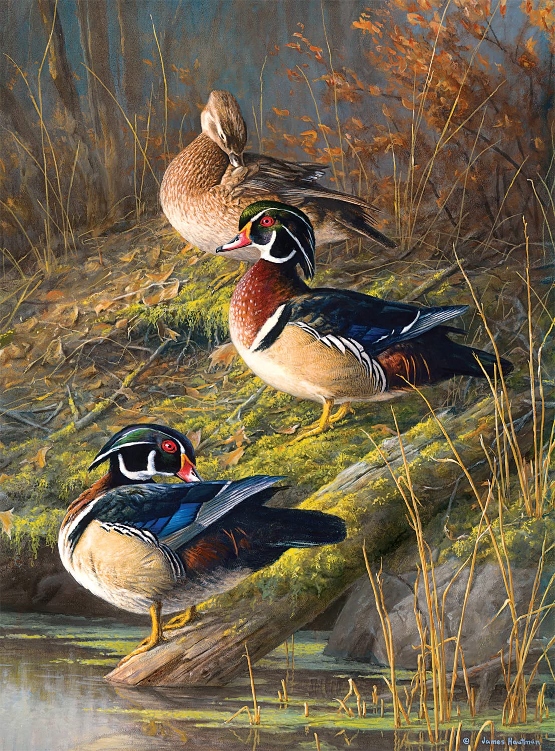 Buffalo Games - Hautman Brothers - Finest - 1000 Piece Puzzle