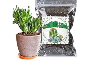 Doter Cactus and Succulent Soil Potting Mix 1qt, Well Draining Chunky Soil Mix for Indoor Plants, Gritty Soil for Healthy Indoor Plants - Spike & Bloom