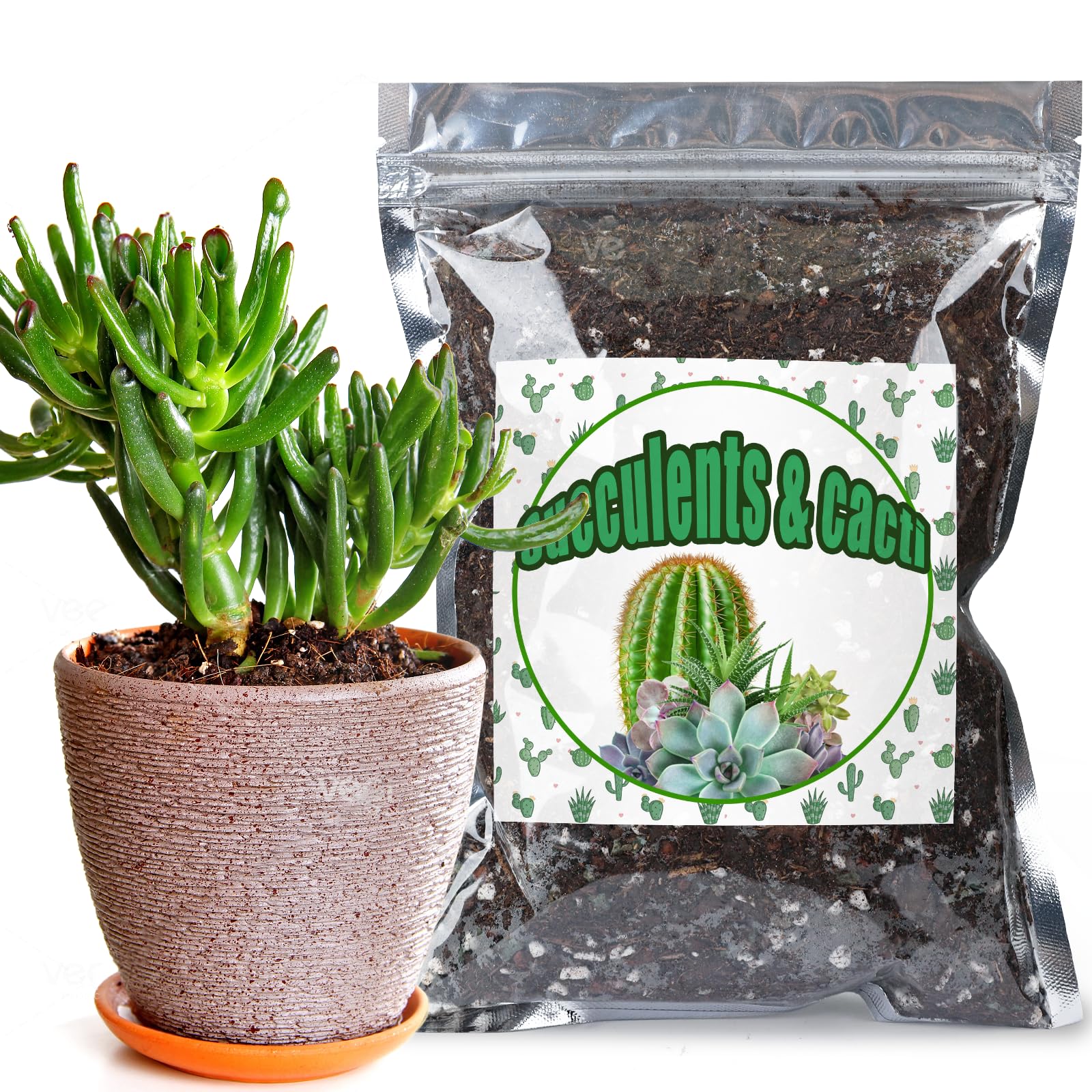 GOTVUGE Cactus & Succulent Soil Mix 4L, Chunky Well-Draining Soil for Indoor Plants - Spike & Bloom
