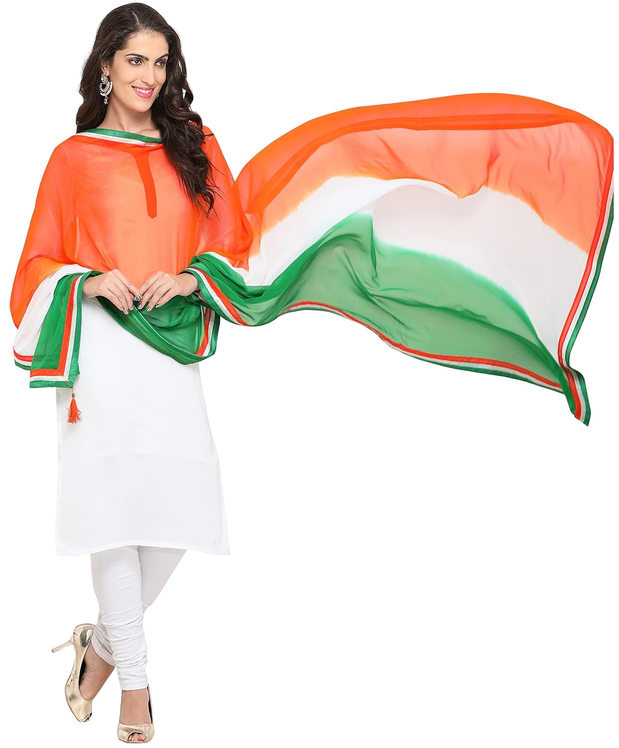 ethnicjunction women's chiffon dupatta(triranga-1_multi_free size)