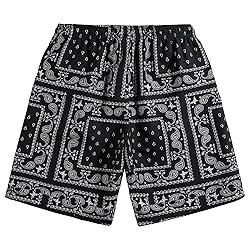 DIOTSR Mens Paisley Casual Shorts Retro Graphic