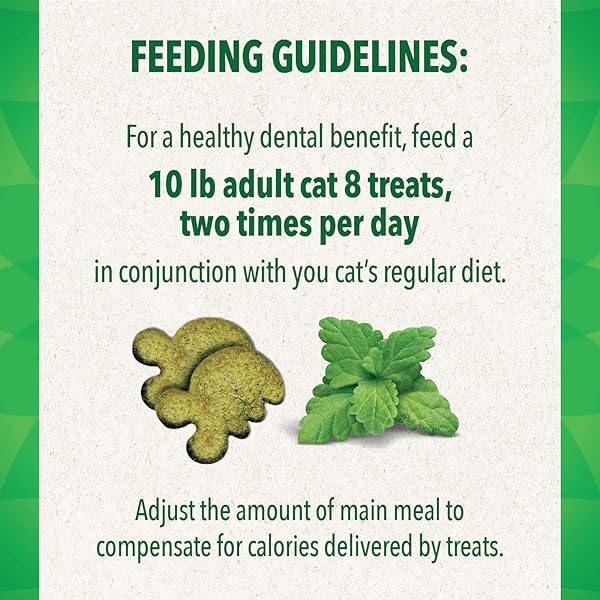 GREENIES CAT TREATS, FELINE VETERINARIAN-RECOMMENDED ADULT NATURAL DENTAL TREATS, CATNIP FLAVOR, 21 OZ. TUB