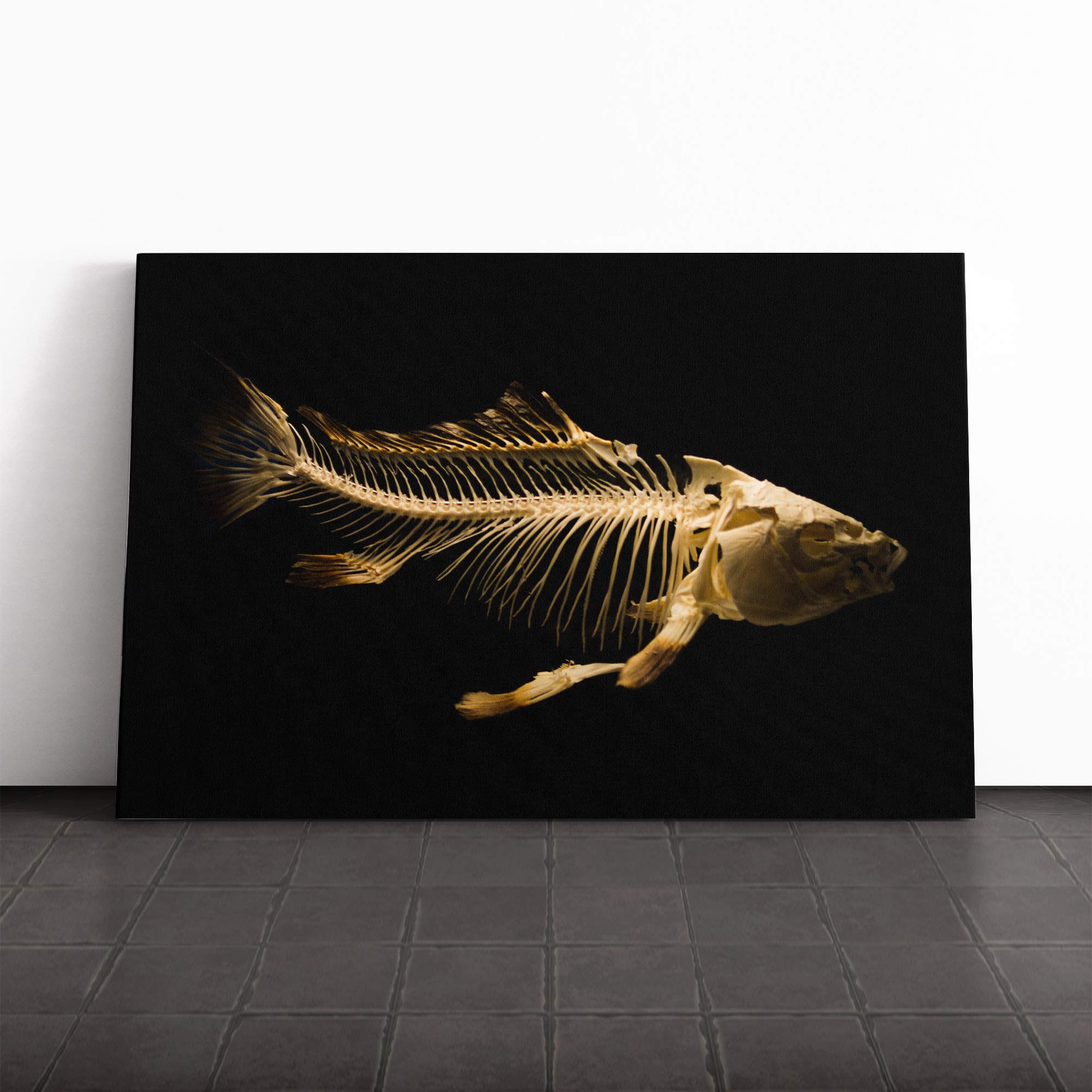 Fish Skeleton Canvas Print | Gallery Wrapped 30mm Frame Wall Art | 20x14 inches | Ready to Hang | Modern Animals Picture | Living Room Bedroom Lounge Office