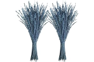 Uieke Dried Lavender Flowers, 16" Preserved Dried Lavender Bundles Blue Flowers Stems Bouquet for Shower Weeding Home Fragrance Vase Crafts Decor, 100g(3.52oz)