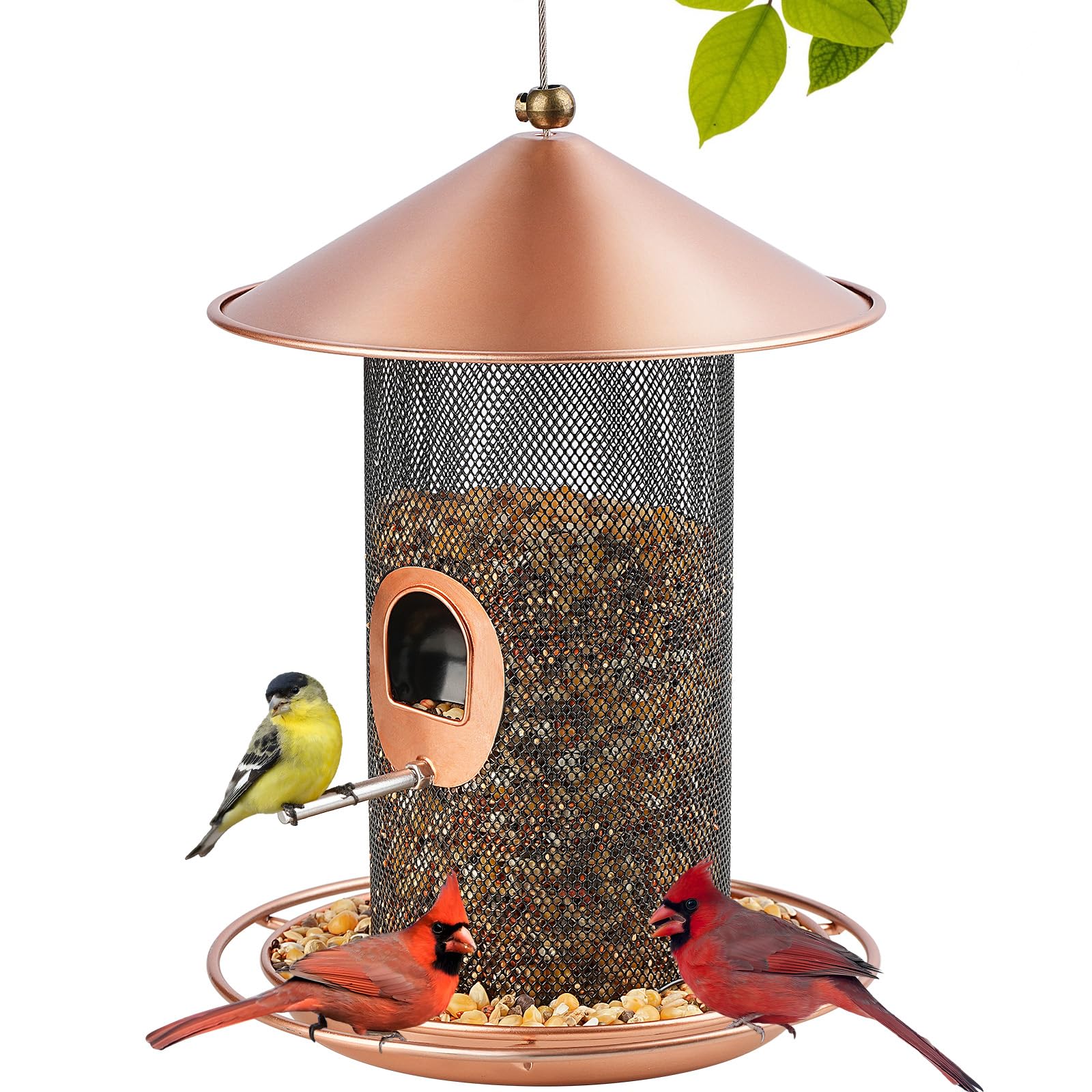 Photo 1 of Samhe Bird Feeder for Outdoor, Metal Wild Bird Feeder Hanging Outside, 7.5" Copper Roof and 360 Degree Feeding Tray with 2 Extra Feeding Ports, 3 Lbs Bird Seeds Capacity