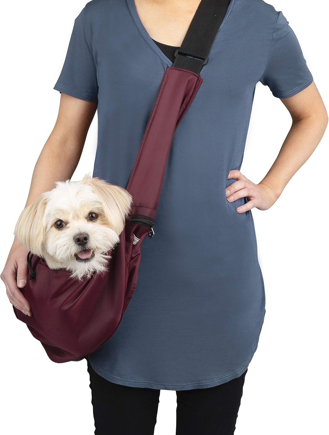 small dog body carrier