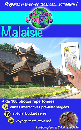 Download eGuide Voyage: Malaisie PDF