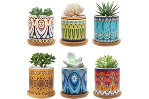 Warmplus Succulent Pots, 3 inch Mandala Planter Pot with Drainage and Bamboo Tray, Small Pots for All House Plants, Succulents, Flowers, Cactus, Pack of 6 - Plants Not Included