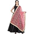 DUPATTA BAZAAR Woman's Gold Embroidered Net Dupatta