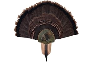 Walnut Hollow Country Turkey Fan Mount & Display Kit, Oak with King of Spring Image