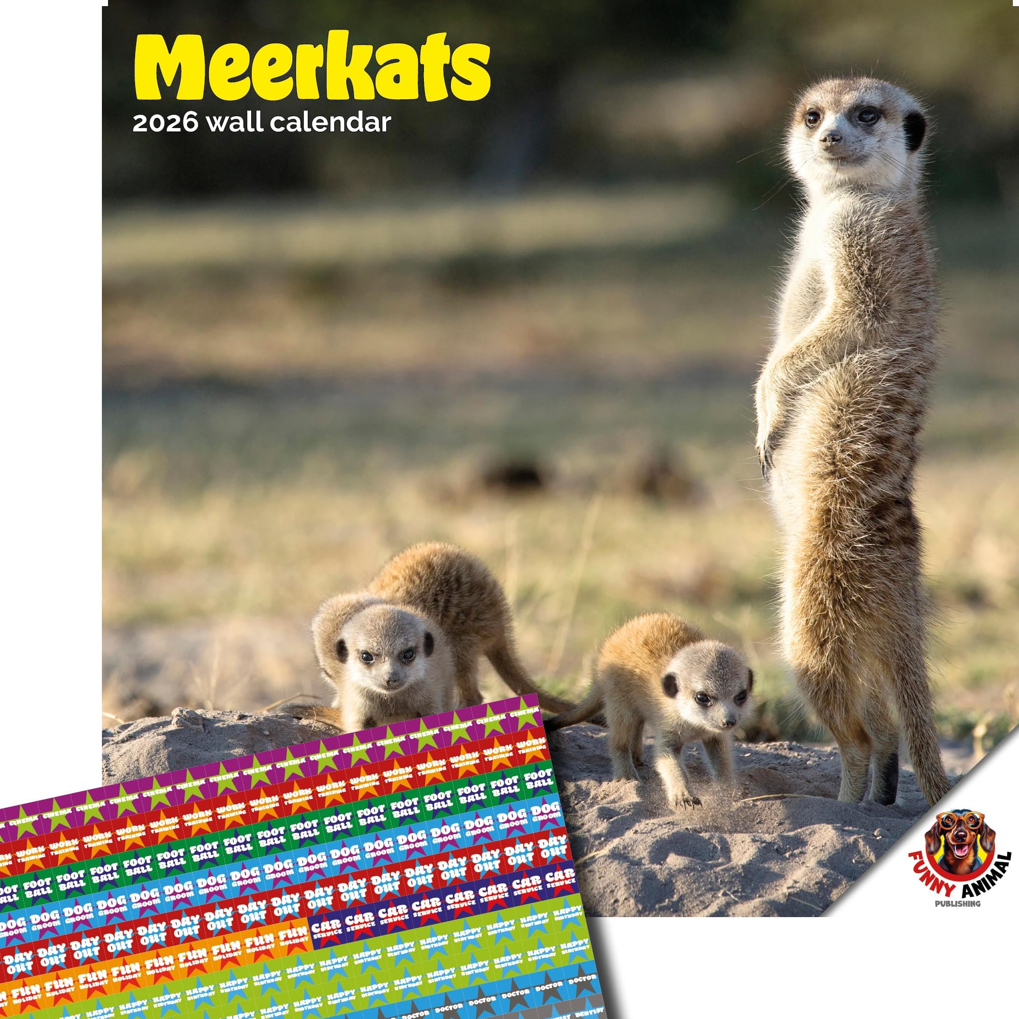 Dayplanner Publishing Meerkats Calendar 2026, Large Square Wall Calendar With Organisational Stickers, 16 Month, Meerkats Gift Animal Calendar