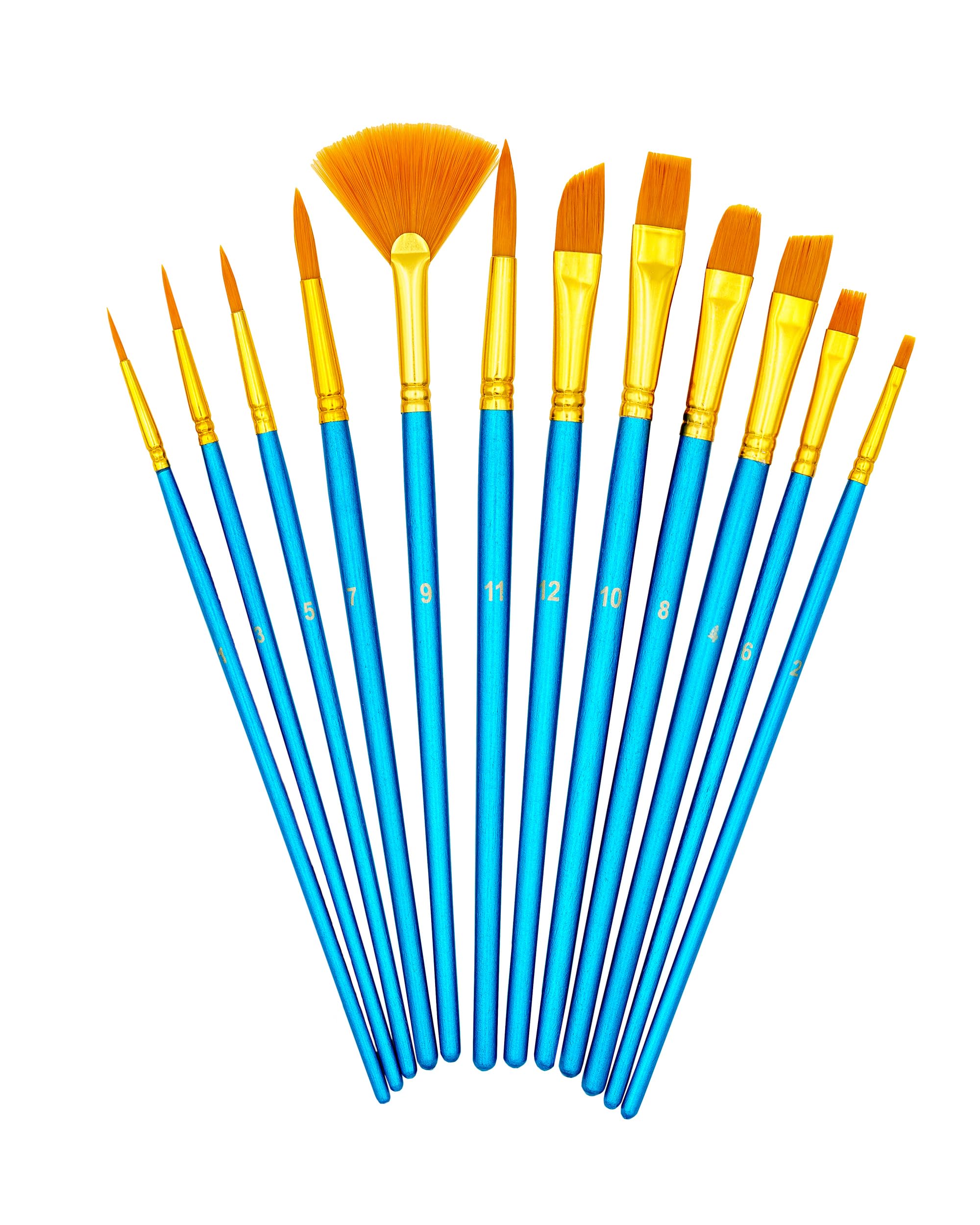 TSI 49042 Assorted Nylon Blue Brush Set 12 Count