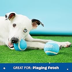 Barkbox 2 in 1 Interactive Plush Dog Toy - Rip and