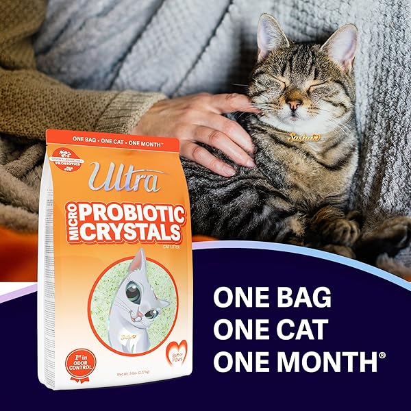 ULTRA – PROBIOTIC – 5 LBS