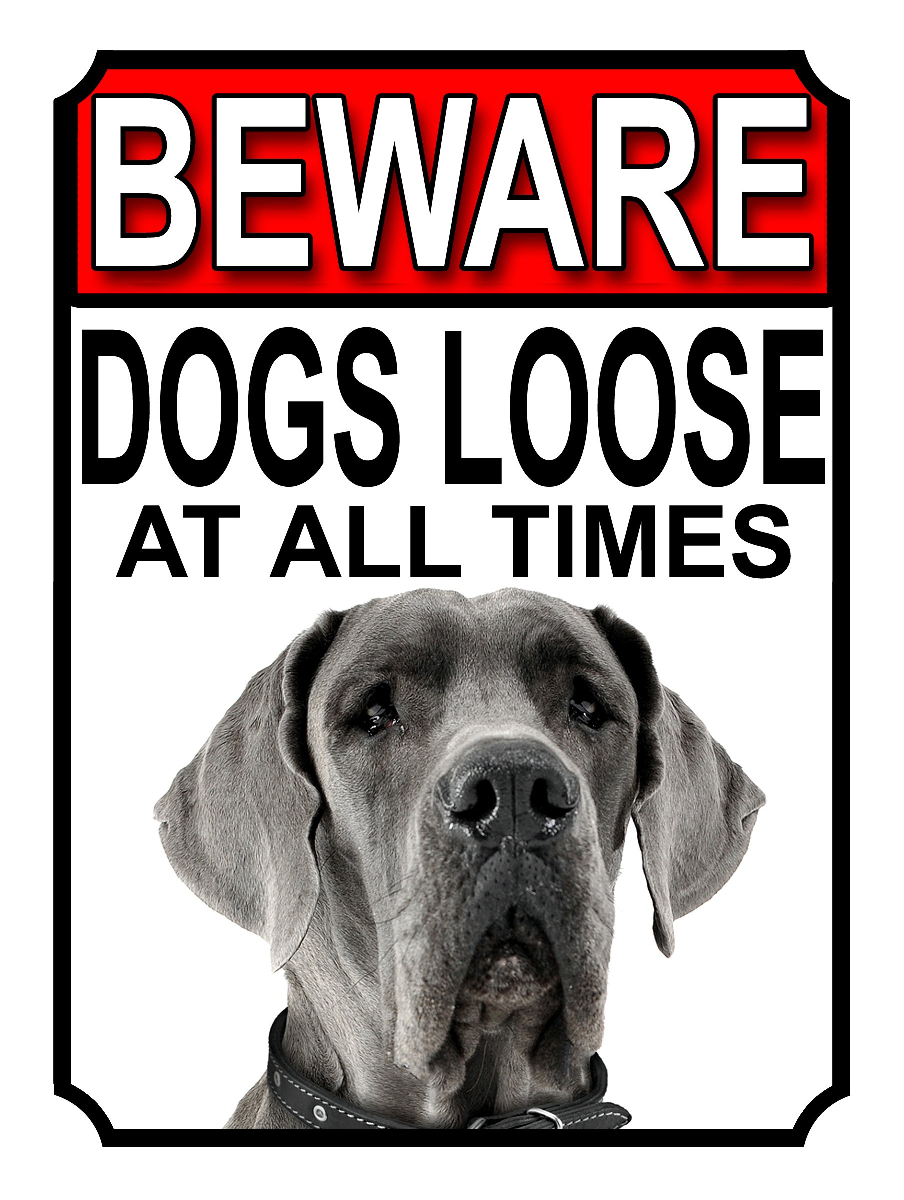 BEWARE DOGS LOOSE AT ALL TIMES METAL SIGN GREAT DANE 200MM X 150MM (1005H1) โ image 1
