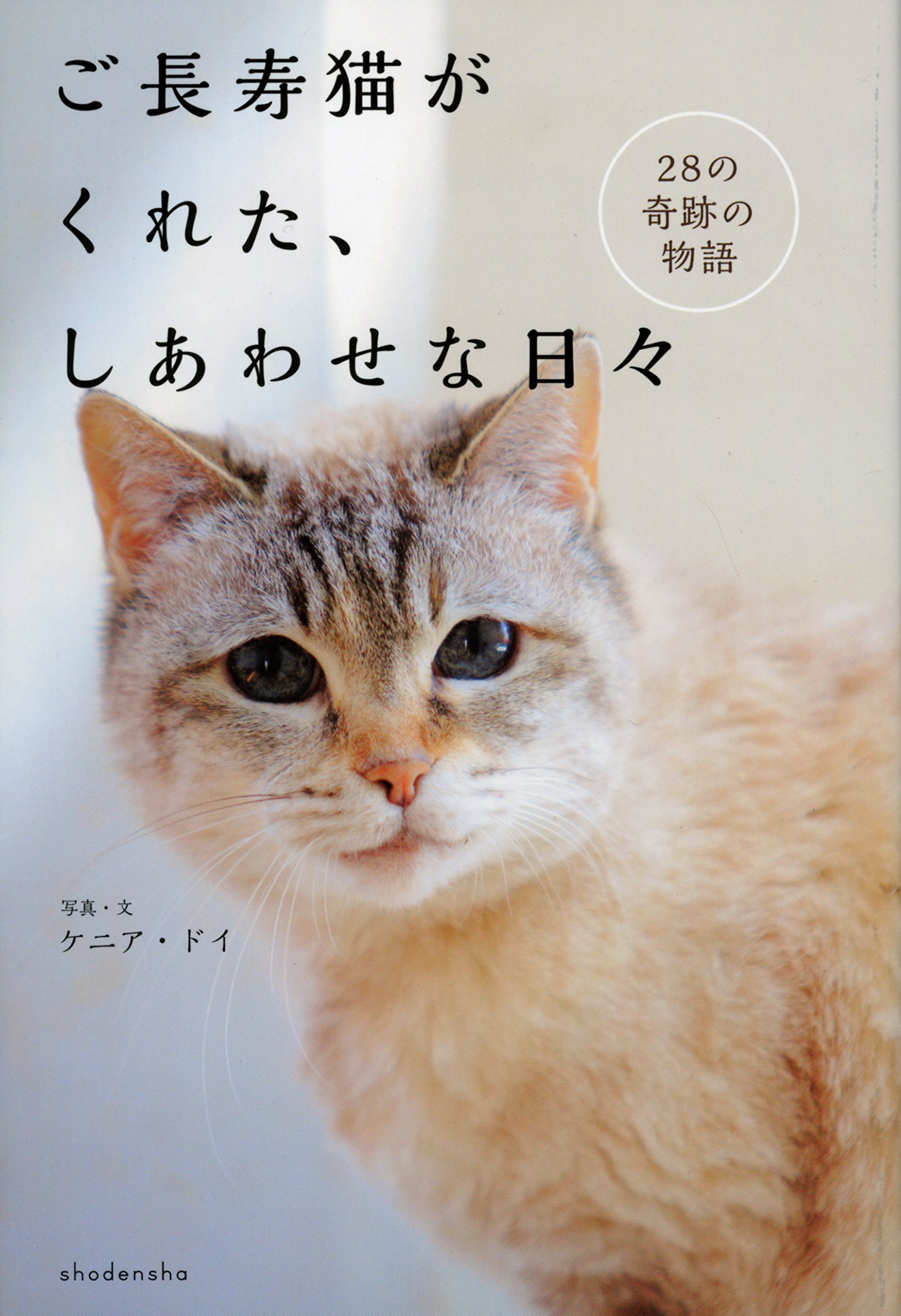 ご長寿猫がくれた しあわせな日々 28の奇跡の物語 ケニア ドイ 本 通販 Amazon