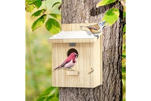 CHUIENDI Bird Houses for Outside, Bluebird House with Standing Perch, Hanging Wood Bird House with Waterproof Acrylic Plate for Small Birds Bluebird Finch Swallow Wren Chickadee Assembly Required