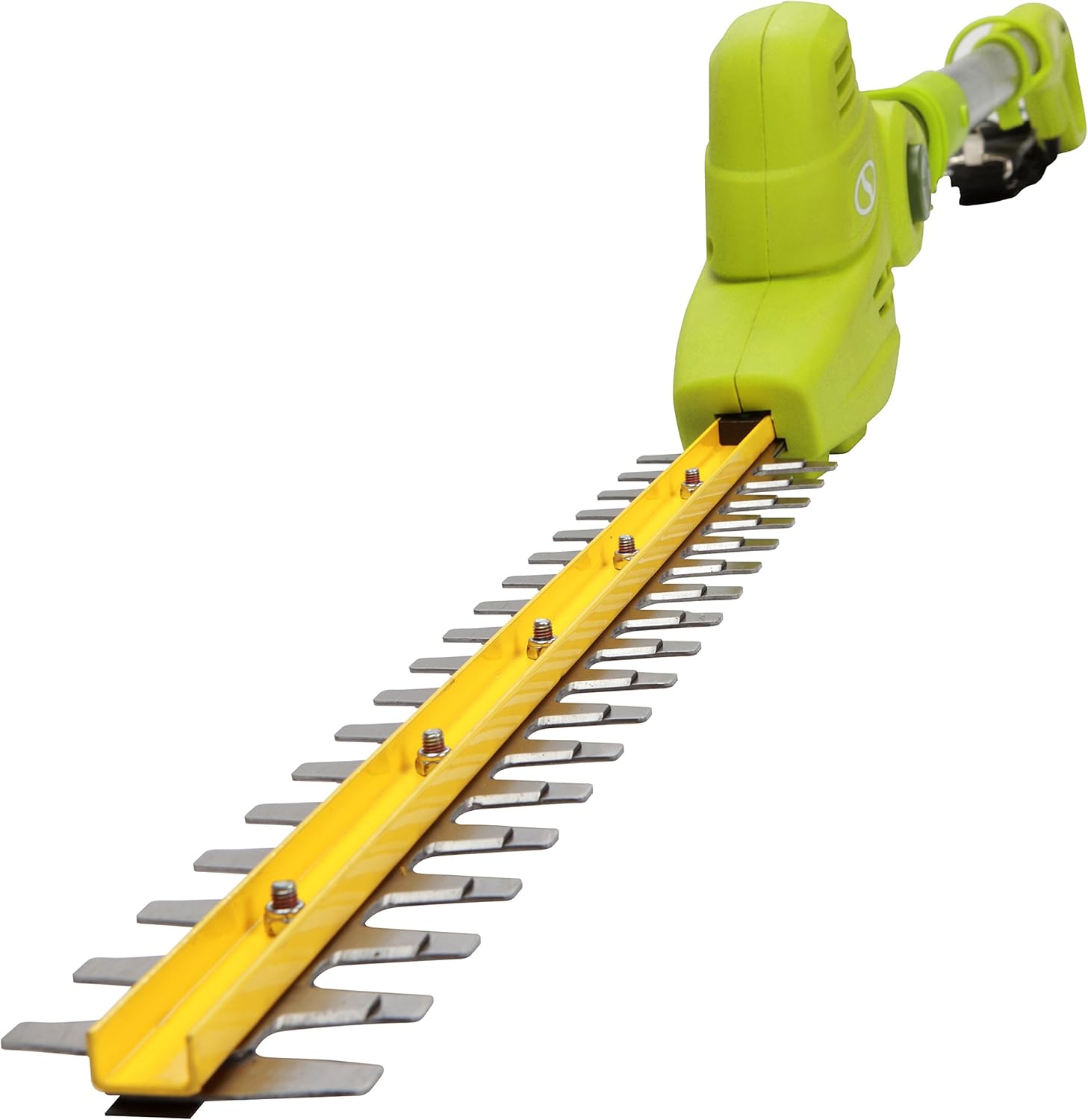 4. Sun Joe SJH901E Electric Pole Hedge Trimmer