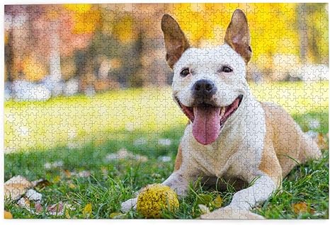 Amazon Co Jp 1000ピースパズル 面白い犬 大人と子供のための絵パズルゲーム家族の結婚式の卒業ギフト ホーム キッチン